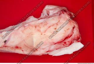 Photo Textures of RAW Bones Beef